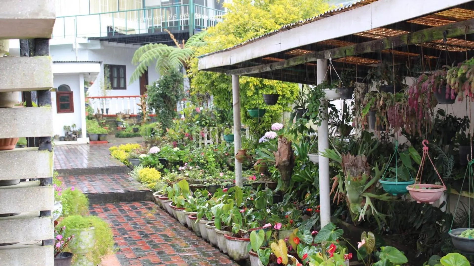 Sinora Holiday Bungalow Nuwara Eliya Bed & Breakfast
